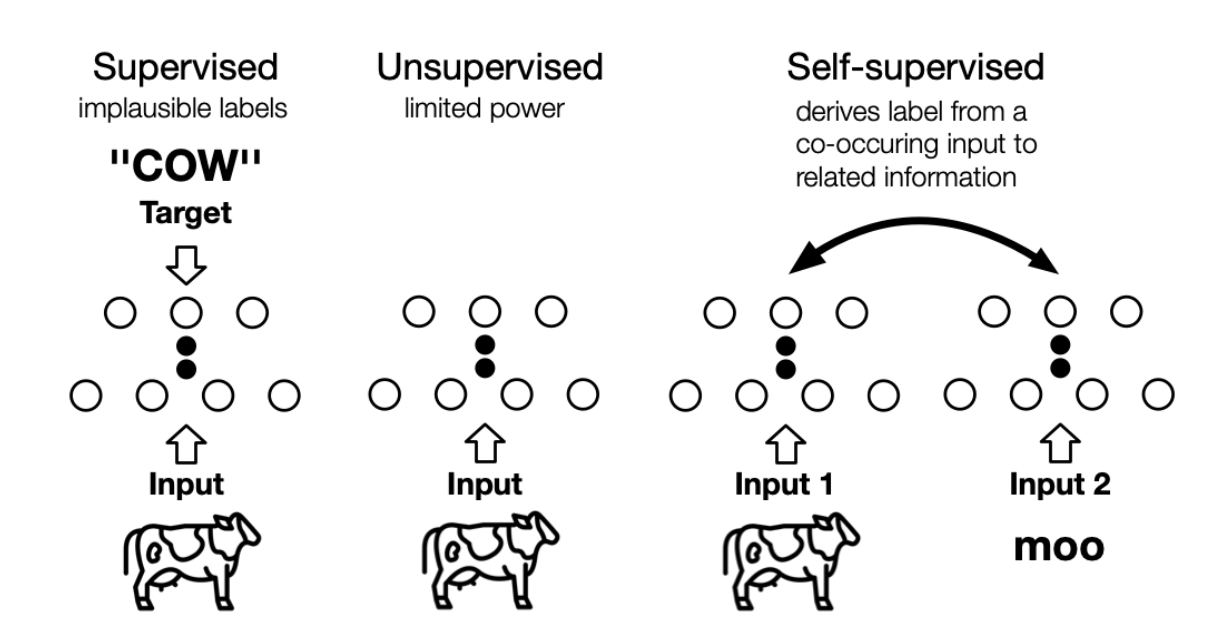 Self-Supervised Learning 概述